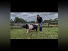 Kendall  Cutter  Running Creek 4-H Club