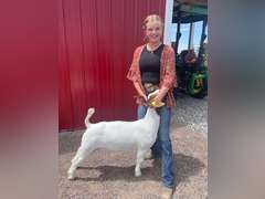 Lily   Hayes  Gold Creek 4H Club
