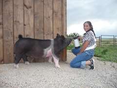 Kaylee  Wyer  Kiowa Community 4-H Club