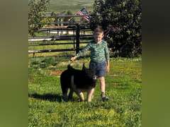 Phinehas  Brammer  Ranchin’ Rookies 4-H Club