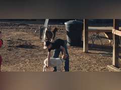 Collin  Arnold   Sun Country 4H