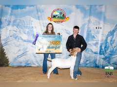 Cole  Spurlock  Grand Drive 4H
