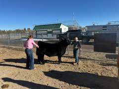 Wade  White  Kiowa Community 4-H Club