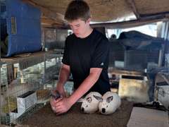 Cade  Tervort  Gold Creek 4-H Club