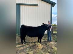 Kellan  Torrence  Rattlesnake 4H