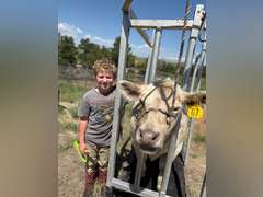 Easton  Moye  Rural Rustlers