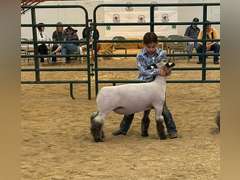 Jaycee  Best  Running Creek 4-H Club