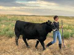 Kelsi  Harr  Rural Rustlers 4H