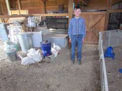 Wyatt  Palmer  Sun Country 4H