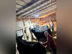 Case  Carnahan  Kiowa Community 4-H