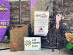 Khloe  Mackey  : Kiowa Community 4-H Club