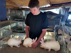 Cade  Tervort  Gold Creek 4-H Club