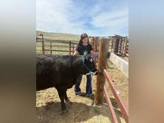 Kelsi  Harr  Rural Rustlers 4H