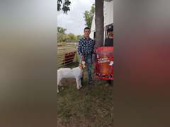Collin  Arnold   Sun Country 4H