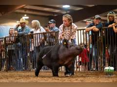 Carsyn  Laurence  Calhan Ranch Hands