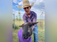 Tyson   Pfost   Rural Rustlers