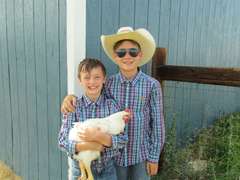 Wyatt  Palmer  Sun Country 4H