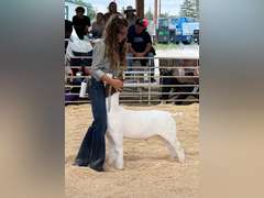 Jamie  Schafer  Rattle Snake 4-H Club