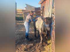 Lauren  Rector  Rural Rustlers 4-H Club