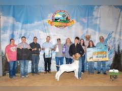 Cole  Spurlock  Grand Drive 4H