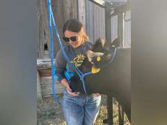 Lauren  Rector  Rural Rustlers 4-H Club