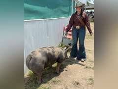 Abigail  Cabrera  Gold Creek 4H