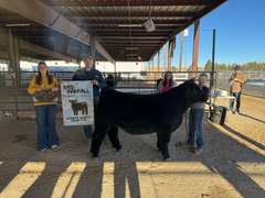Wade  White  Kiowa Community 4-H Club