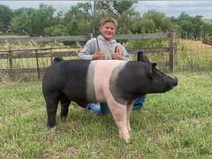 Van  Cutter  Running Creek 4-H Club