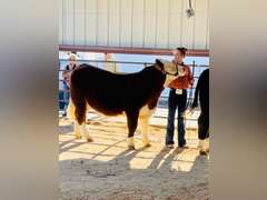 BRINLEY  WATTS  Kiowa Community 4H Club