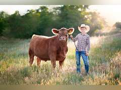 Eli  Anderson  Gold Creek 4H