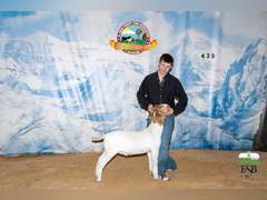 Cole  Spurlock  Grand Drive 4H
