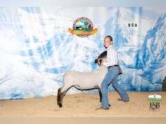 Madilyn  Snodgrass  Ramblin Wranglers