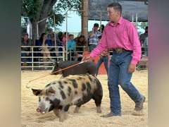 Nehemiah  Cabrera  Gold Creek 4-H