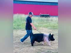 Dalton  Hudgins  Running Creek 4-H Club