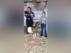 Kiera   Arnold   Sun Country 4H