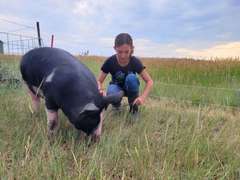 Bailey  Riniker  Kiowa Community 4H