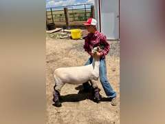 Jack   Pyatt  Rural Rustlers