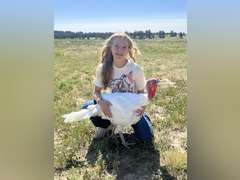 Lyla   Harris  Kiowa Community 4H Club