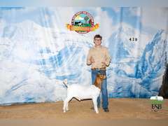 Dominic  Bellerdine  Angel Fire 4H