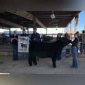 Thumbnail image of IMG_4890.pdf