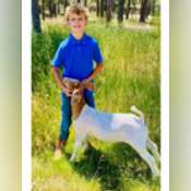 Thumbnail image of colt2025.pdf