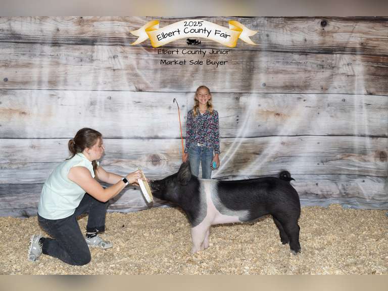Alayna  Burris   Rattlesnake 4-H club