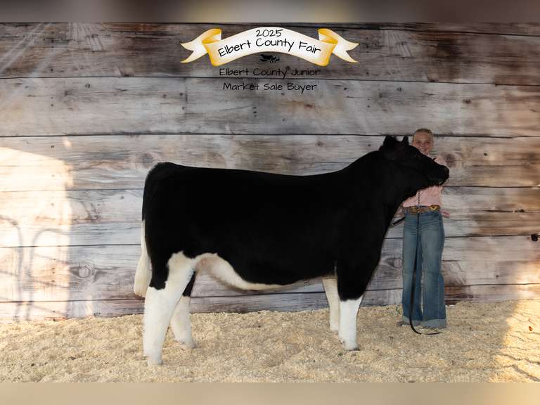 Nevaeh  Ramsour  Kiowa Community 4H
