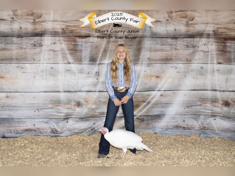 Lyla   Harris  Kiowa Community 4H Club