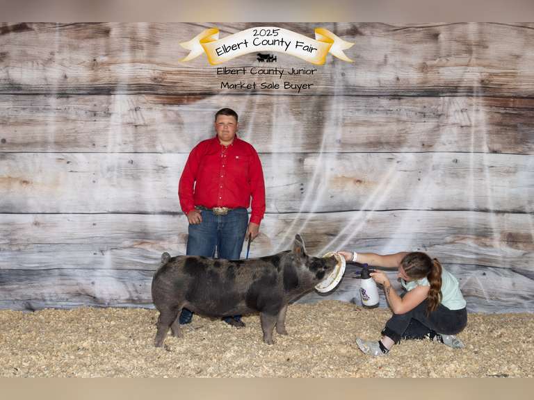 Titus  Cabrera  Gold Creek 4-H