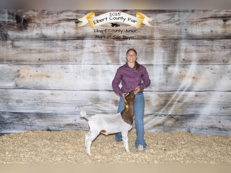 Brooke  Mills  Comanche Creek 4-H