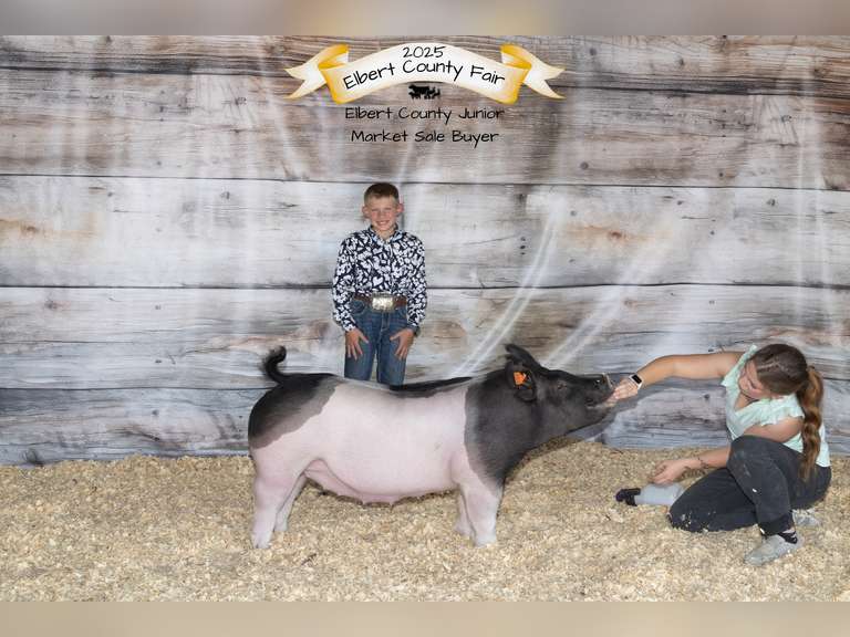 Hilton  Smith  Kiowa Community 4-H Club