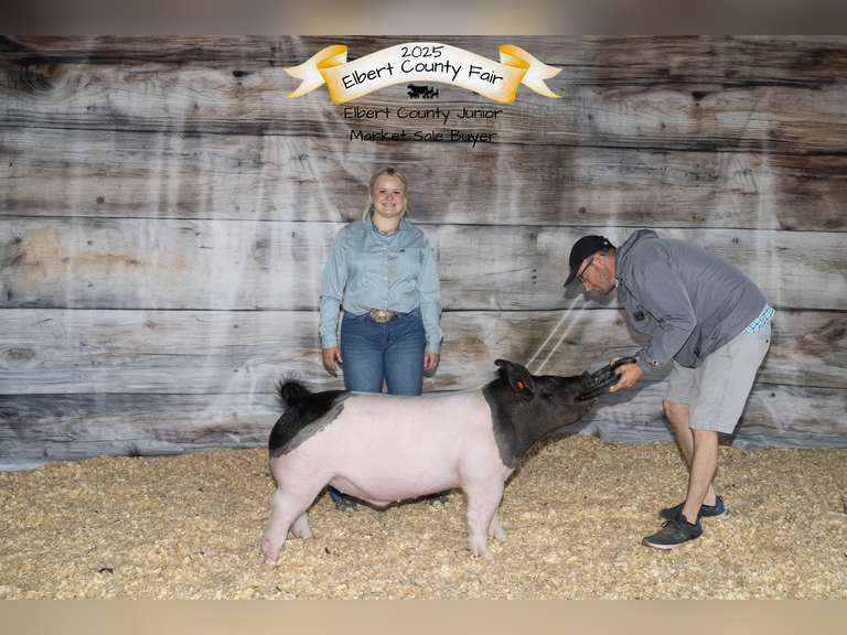 Addison  McWhorter  Ranchin Rookies 4H Club