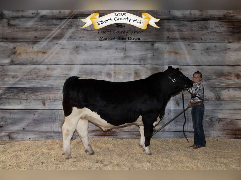 Kinley   Cornell  Rural Rustlers