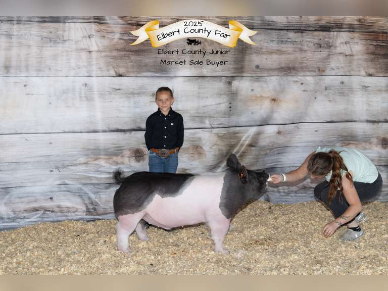 Savannah  Hinton  Kiowa Community 4-H